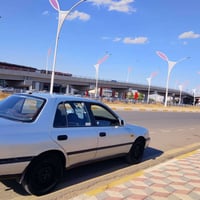 صني • ١٩٩١ • رقم اربيل
