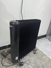 صوبة زيتية • ١٢ ريشة • مكاني بغداد