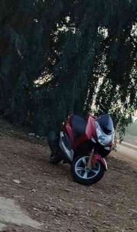 07763038140 للبيع 🫰