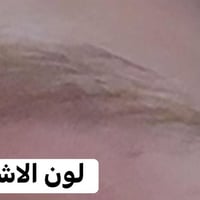 تنت حاجب • نباتية • يدوم اسبوعين