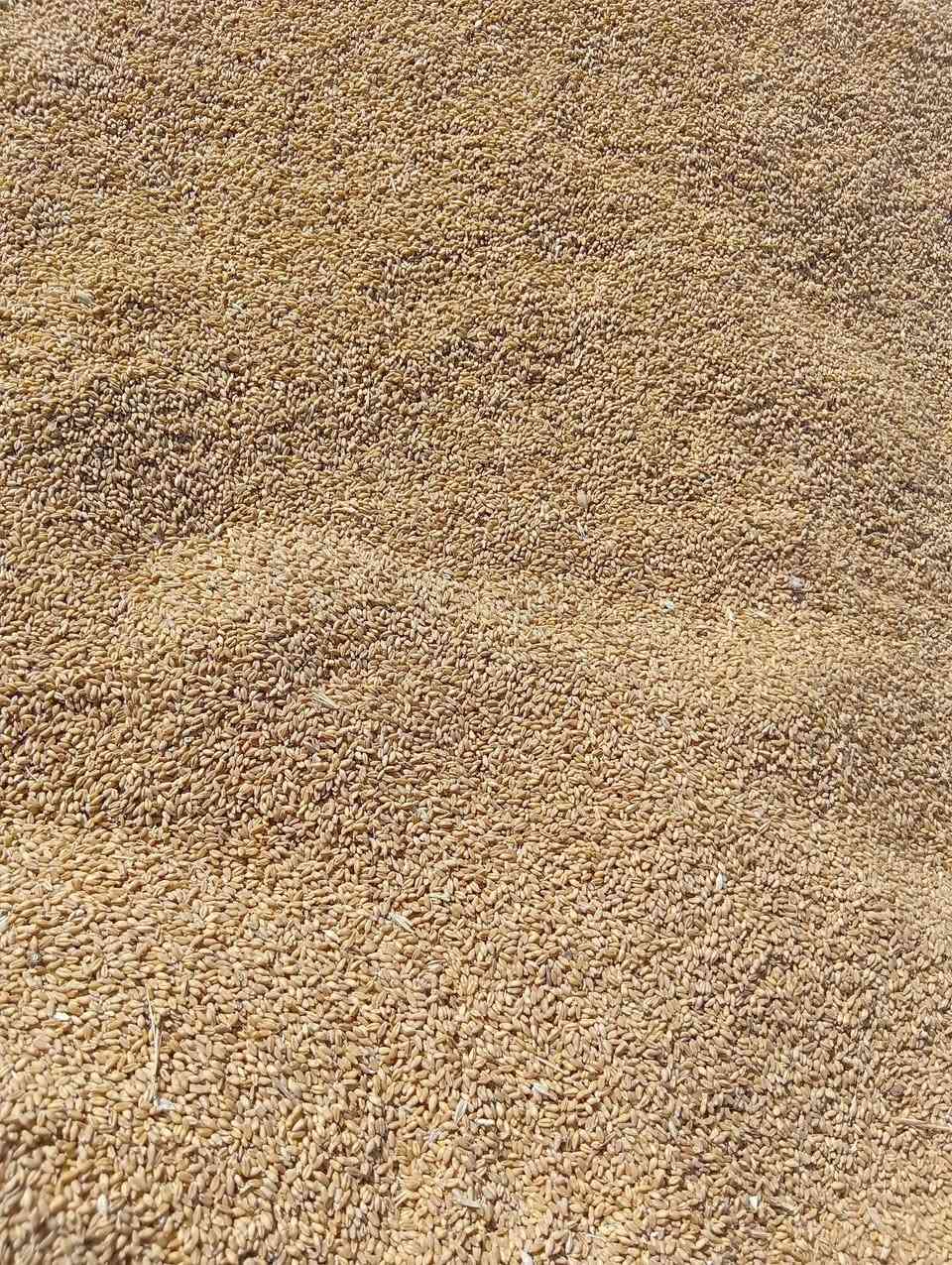 حنطه لبيع عربيه درجة اؤلئ مكان ديالئ قره تبة ***********
