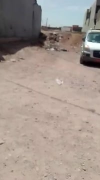 حي الزيتون • ١٦٠م • اسواق ابو علي