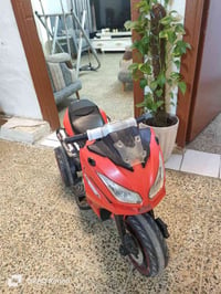 من رخصه مدير الكروب دراجه اطفال شحن مابيها شي يرادلها فقط شاحنه 077077...