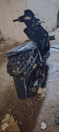 فراشه • فحل • عاوزها باتري