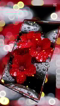 اعلان هام... تعلن مدرسة ينابيع العلم الابتدائية الاهلية عن دورات تقوية...