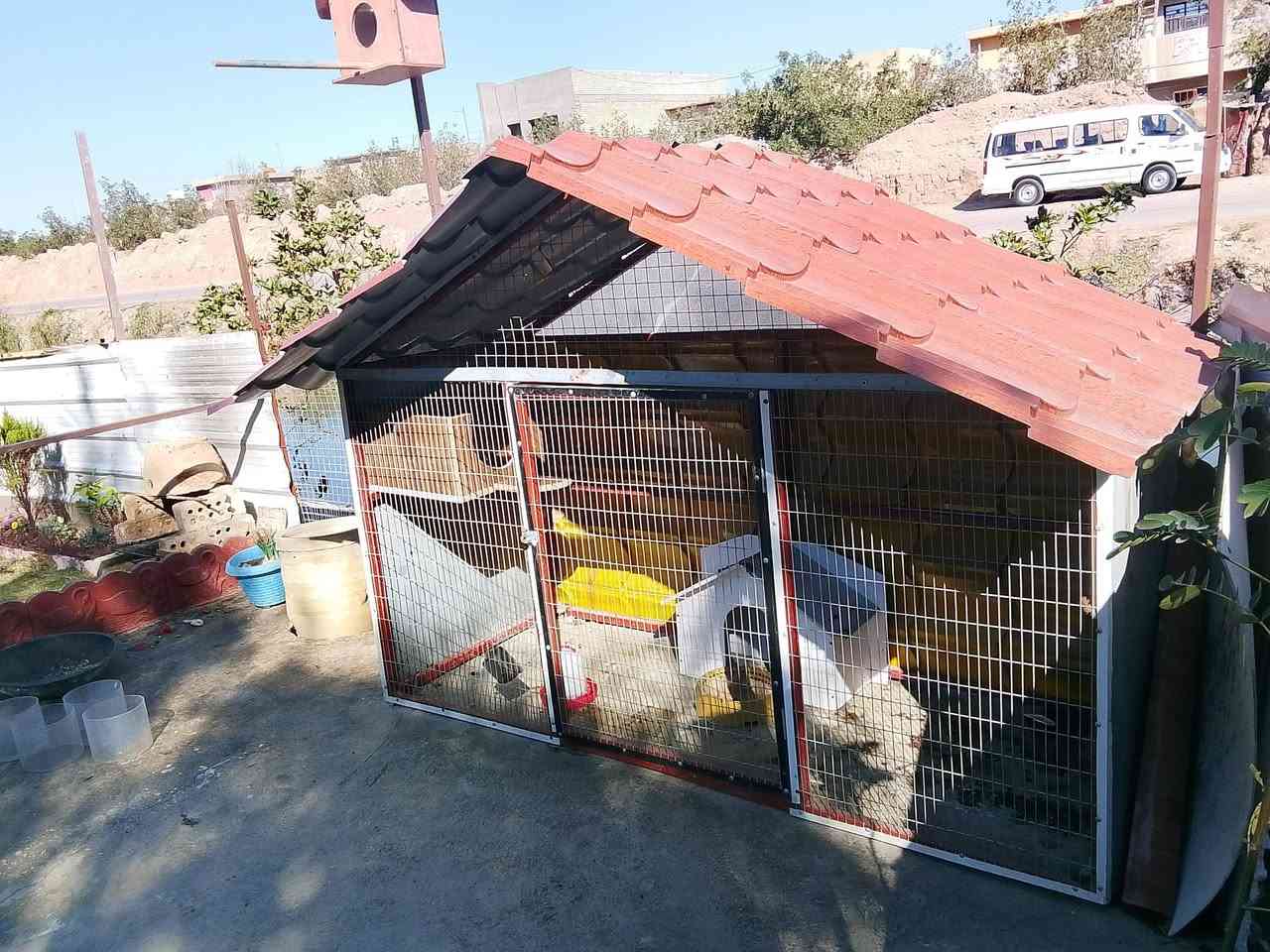 سلام عليكم
قفص حديد مرتب 
عرض مترين وارتفاع متر ونص 
السعر 100


**إذا كنت صاحب هذا الإعلان وتريد حذفه لأي سبب، رجاءا أرسل رسالة إلى الدعم الفني**