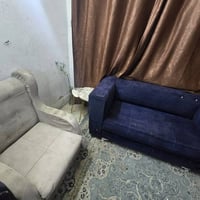 تخم سعر 60للبيع  07731233991