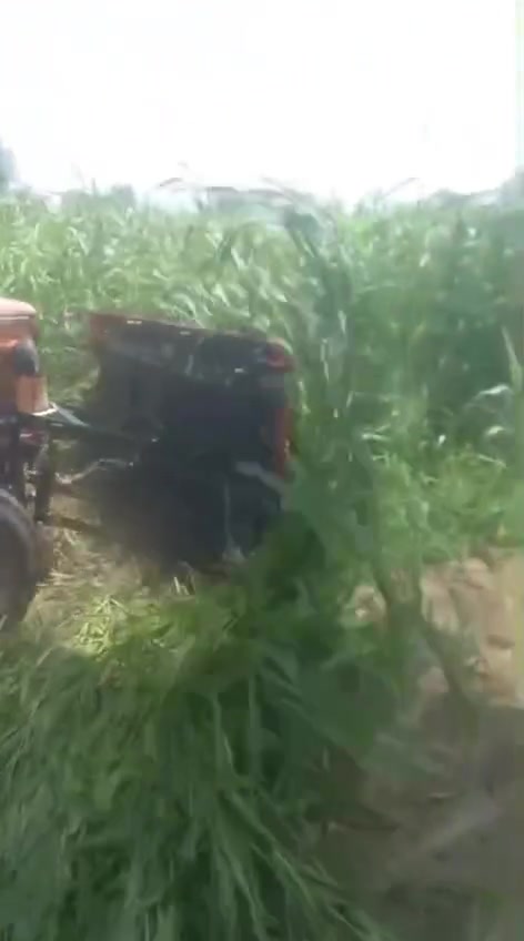 🌽 عندك أرض ذرة كبيرة؟والعمالة كل يوم سعرها يزيد؟ 💸
ليه تتعب نفسك وتخسر وقت؟!الحل مع حصادة الذرة 🔥🚜

✔️ ضم أسرع✔️ تكلفة أقل✔️ إنتاج أعلى✔️ توفير في العمالة والمجهود

لو عايز تخلص شغلك بسرعة وكفاءةالفيديو ده معمول مخصوص ليك 👌🚜 ضمامة واحدة… شغل طول السنة 🔥🌾

مش للذرة بس!دي ماكينة توفر عليك موسم كامل 💪

✅ بونيكام✅ رز✅ قمح✅ برسيم حجازي✅ وحصاد بأعلى كفاءة

⚡ سرعة في الشغل⚡ توفير في العمالة⚡ تقليل وقت ومجهود⚡ أداء قوي في كل المحاصيل

بدل ما تشتري أكتر من ماكينة…هات الضمامة اللي تشتغل معاك في كل موسم  للطلبات والاستفسار ٠١٢٧٣٠١٧٤١٩
الاولويه لاسبقيه الحجز


**إذا كنت صاحب هذا الإعلان وتريد حذفه لأي سبب، رجاءا أرسل رسالة إلى الدعم الفني**
