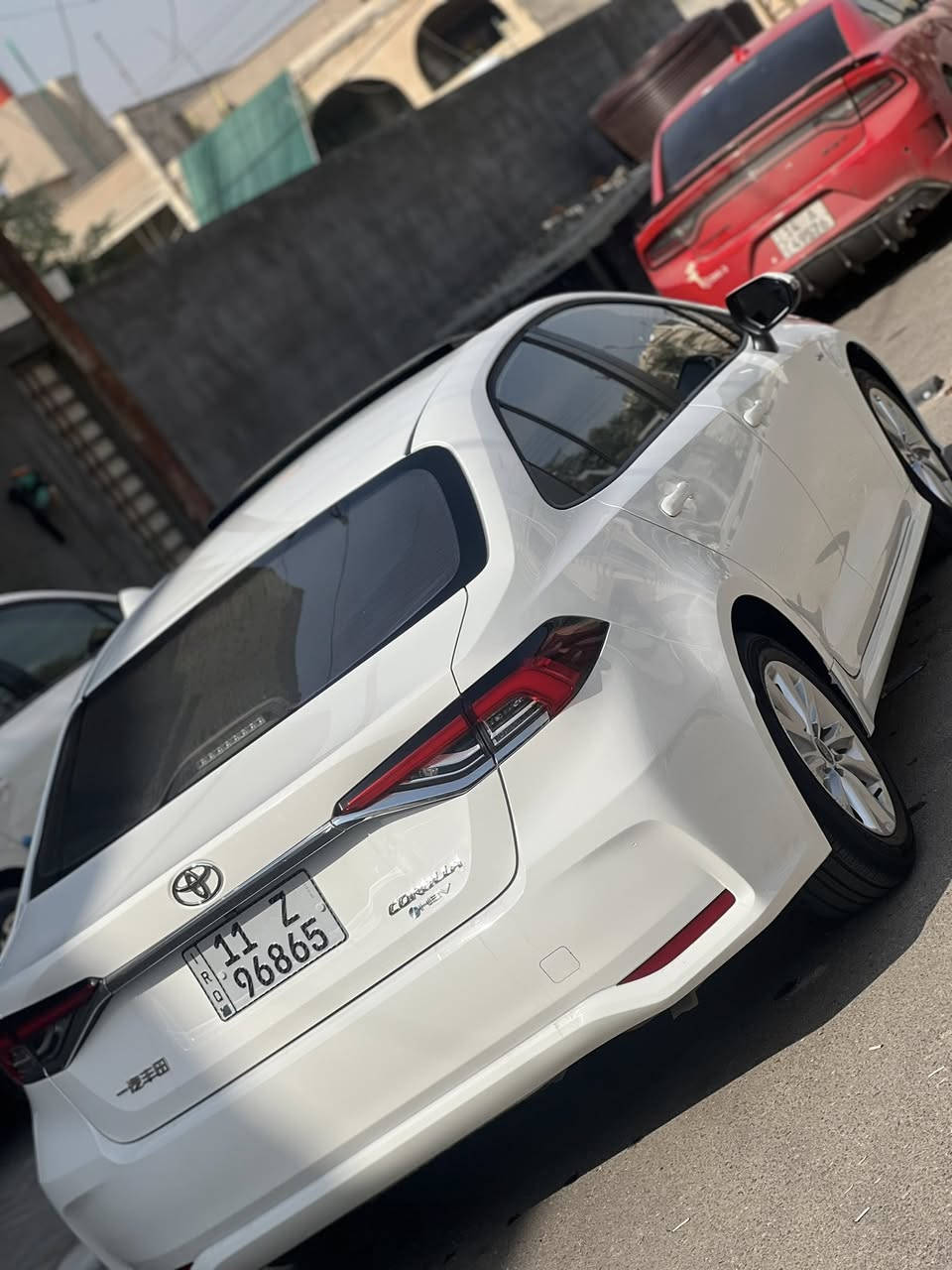 ‏كوريلا ‏للبيع ‏ ‏ ‏هايبر ‏2025 ‏كفالة آمنة ‏رقم بغداد ‏عنوان البصرة ***********￼￼￼￼￼￼￼￼￼￼
