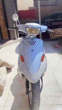 بيجي فحل • صفر • مكفوله