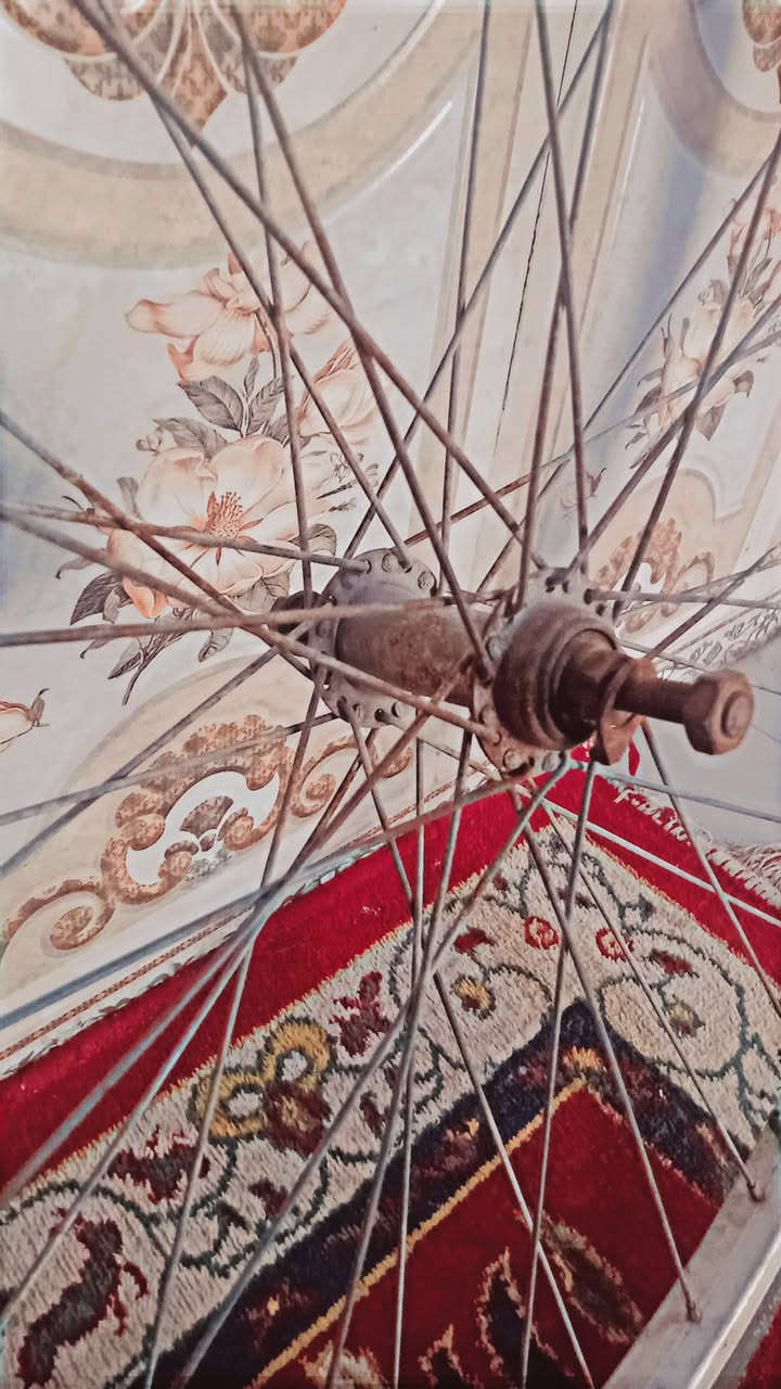 السلام عليكم ويل قدام
حجم 26 ويل ونظيف 
الويل السعر 13 وبي مجال 
مكان ناصريه مركز


**إذا كنت صاحب هذا الإعلان وتريد حذفه لأي سبب، رجاءا أرسل رسالة إلى الدعم الفني**