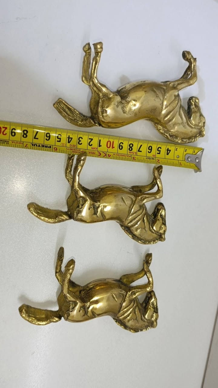 مجموعة خيول نحاس مع التوصيل 50 الف


**إذا كنت صاحب هذا الإعلان وتريد حذفه لأي سبب، رجاءا أرسل رسالة إلى الدعم الفني**