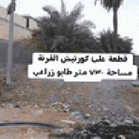 للاستفسار الاتصال على الرقم التالي 07739105686