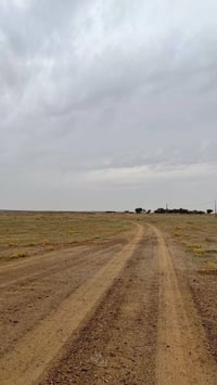 _يتوفر لدينة دوانم المساحة الكلية ٥ دوانم🏠🏝️ مسيج بيارسي سعر الدونم ال...