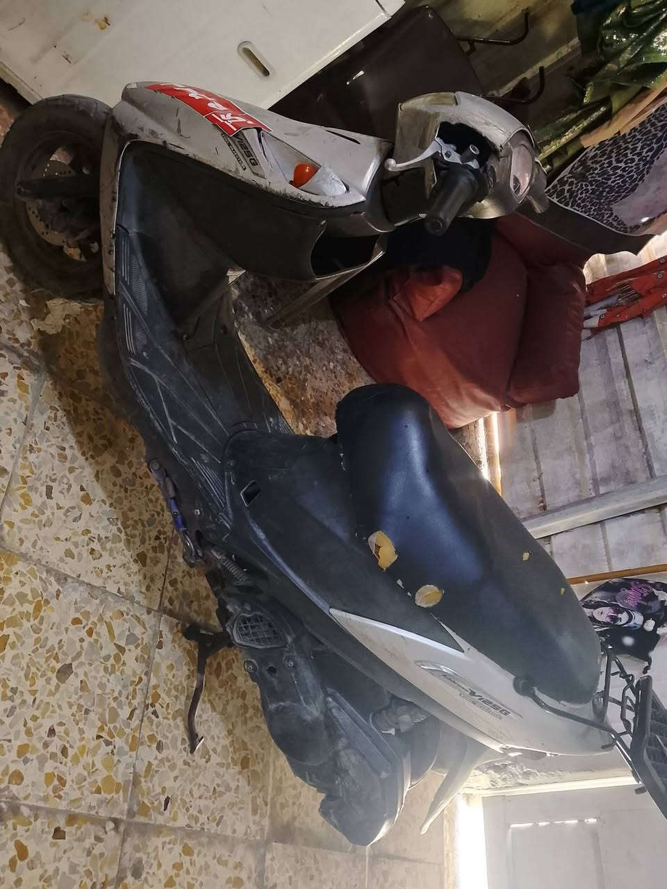ادرس ياباني البيع سرعه 120 مابيهاا اي نقص بس كلوبات مال اشاير بيهن يشتغلن قبق هندر الباقي كله شغال قفل ستيرن حساس مال سرقه شغال بريك امامي بريك خلفي شرط مكينه مكفوله برغي مامفتوح منها 250 السعر بيها مجال بسيط مكاني حي اور الشعب


**إذا كنت صاحب هذا الإعلان وتريد حذفه لأي سبب، رجاءا أرسل رسالة إلى الدعم الفني**