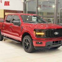 فورد F150 • ٢٠٢٥ • ١ قطعة صبغ