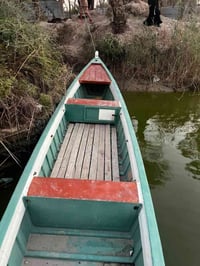 جينكوه • نضيفه • ٩م