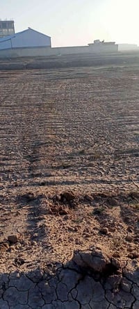 أبو شطيب • سهم زراعي • ٢٠٠م