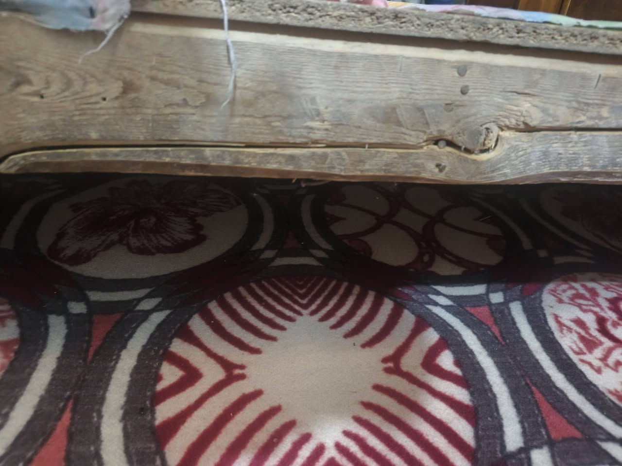 السلام عليكم اخشاب مستعمل للبيع كدامكم مضروبه بس، الجربيه من جوه مستعجل على بيعته السعره 200الف وبي مجال بسيط حك جيه 
رقم الهاتف (***********)
بي وتساب الي يريد يرسلني او يدخلي خاص
المكان: الديوانيه الشاميه
