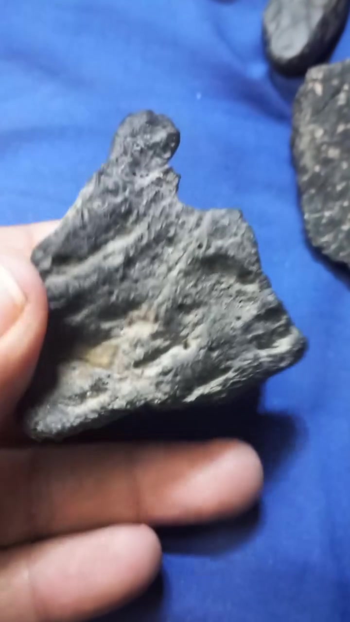 نيزكي للبيع


**إذا كنت صاحب هذا الإعلان وتريد حذفه لأي سبب، رجاءا أرسل رسالة إلى الدعم الفني**