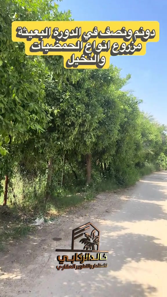 🏡دونم ونصف للبيع مزروع انواع الحمضيات وانواع متعدده من النخيل في الدورة البعيثة   استثمارك اليوم هوه امانك لمستقبل افضل مع خالد الركابي    اتصل او راسل البيج لتفاصيل اكثر شاهد الفيديو لبقية التفاصيل 📍 الموقع: الدورة : الدورة البعيثه ⚡ نجمع البايع بالمشتري… وخدمتكم أمانة عدنا 📞 للاستفسار والحجز: *********** *********** *********** 📌 مقر الشركة: الدورة – مدخل حي دجلة #البعيثه #جادريه #الشعب_الصيني_ماله_حل😂😂 #الدوره_ابو_طياره_المعلمين_شارع60 #المنصور 

