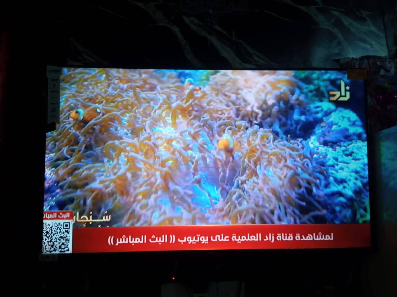 السلام عليكم
شاشه حجم 43 ام نت جديده استعمال شهر
السعر 250 وبيها مجال عنوان حله شراي يتصل على رقم ***********
