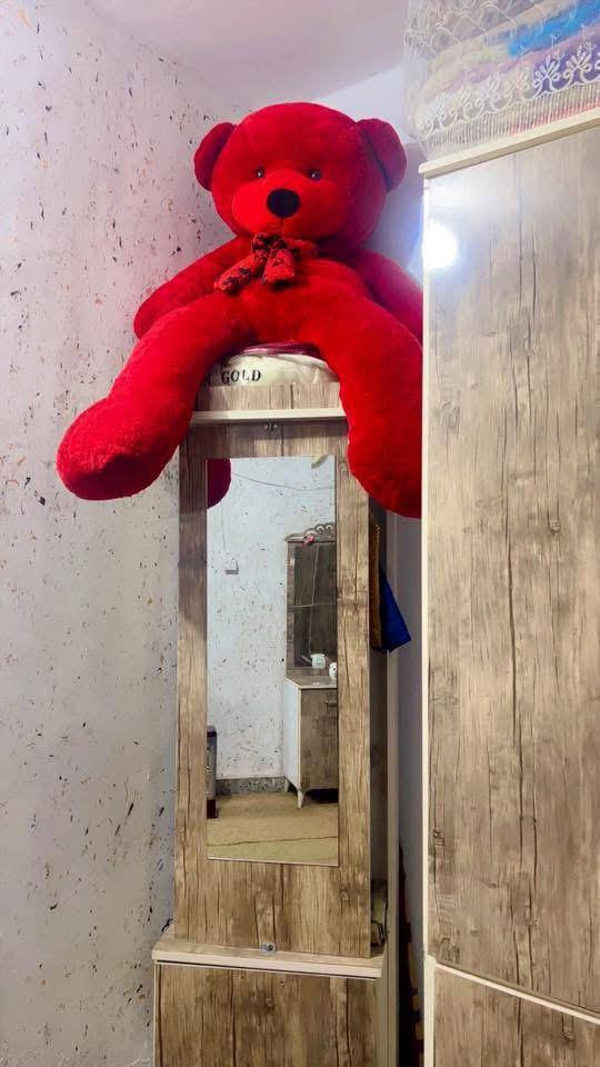 غرفه مستعمله نضيفه كلش ٦ قطع سعر٥٠٠
كركوك


**إذا كنت صاحب هذا الإعلان وتريد حذفه لأي سبب، رجاءا أرسل رسالة إلى الدعم الفني**