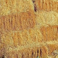 كبس تبن • درجة أولى • كمية مفتوحة