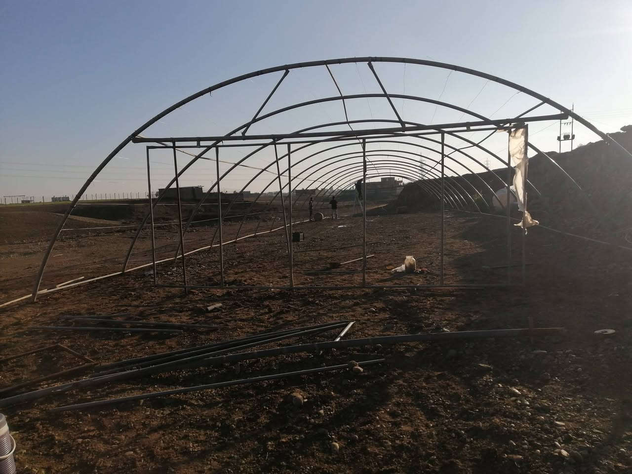 كادر النمرود يرحب بكم بأدارة نجم
(طريق الفلاح ) موسم الزراعة في البيوت المحمية
 تركيب وتغليف جميع انواع البيوت البلاستيكية
تبديل الموقع بيع وشراء للتواصل 
***********
