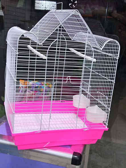 متوفر اقفاص بلابل مع معلفة اكل وماء
سعر  10 الف متوفر توصيل اقضيه نواحي جميع
الالوان بيهن العنوان
كوت العزه قديمه قرب مركز الشرطه
***********
