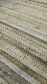 نجار قالب شغلي بل كرخ تاجي بغداد ***********
