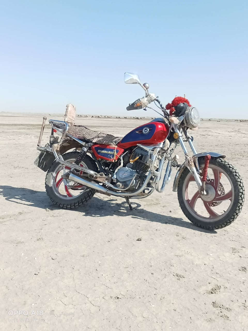 2021.        ***********
