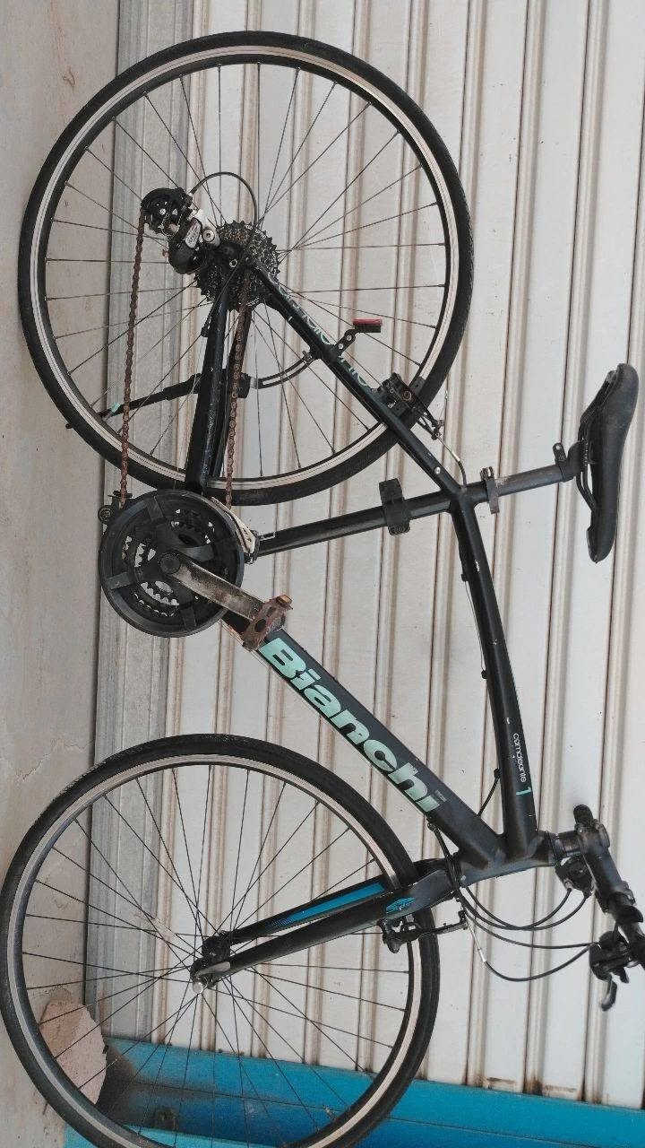 السلام عليكم حياكم الله اربع قطع c700 بيهم ب دبل وبيهم بلا دبل ت حال القطعة الي تعجبك راسلني عليها وتدلل ان شاء الله ما نقصر معاكم بالسعر
متوفر توصيل كلل المحافظات تواصل وتدلل

متوفر جملة ومفرد 

هذا الرقم ***********
