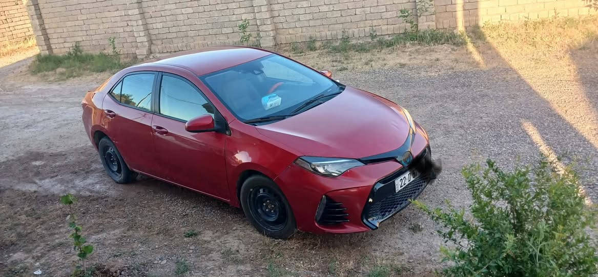 مكلف بلنشر للبيع كورلا موديل 2018
رقم اربيل الجديد تحويل مباشر سيارة جاهزة كير محرك صدر تايرات تبريد تدفا كهربائيات كلها شرط سياره جاهزة 

السعر 134 ضرر قطعتين ***********
