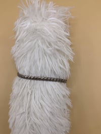 كلشي • للبيع • مع الأسعار