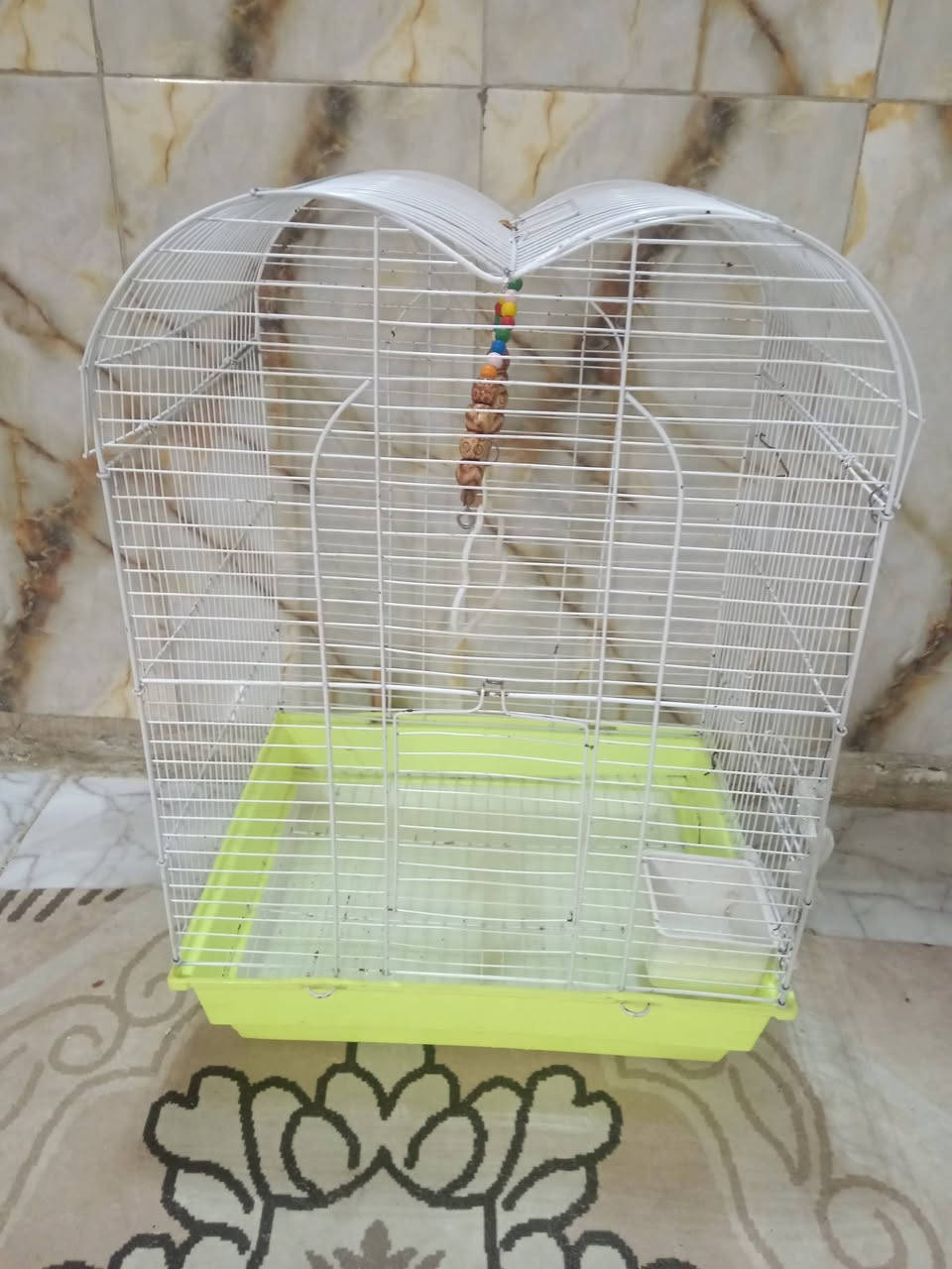 سلام عليكم قفص للبيع العنوان بابل سده الهنديه منطقة العلكايه رقم الهاتف ***********
