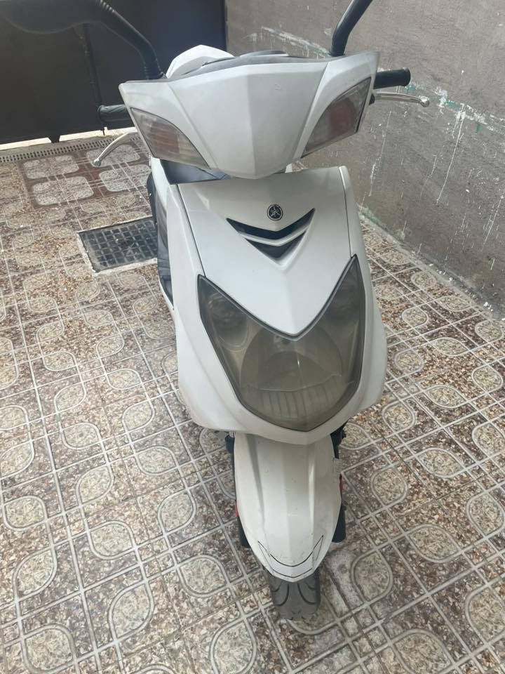 سكنس فحل للبيع ياباني نوزل خطين دراجة مامفتوح محركه خلاص  اذا ماتعرف سعره لا تخابرني يرحم والديك ***********
