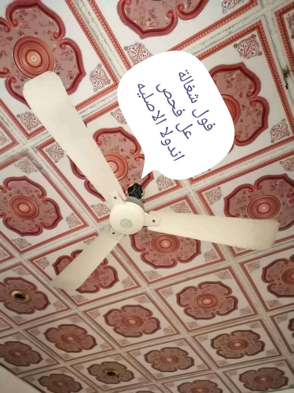 تصفية غراض واجهزه منزليه بالديوانيه متنوعة راسل الصفحة بالديوانيه


**إذا كنت صاحب هذا الإعلان وتريد حذفه لأي سبب، رجاءا أرسل رسالة إلى الدعم الفني**