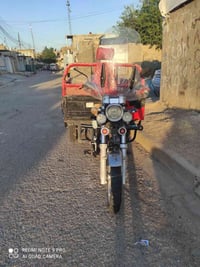 ستوته • فحل عالي • ٢٠١٩