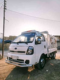 شباب كيه فحل للبيع  مديل 16 رقمه بغداد لاستفسار عل هاذ ال رقم ‭0781 25...