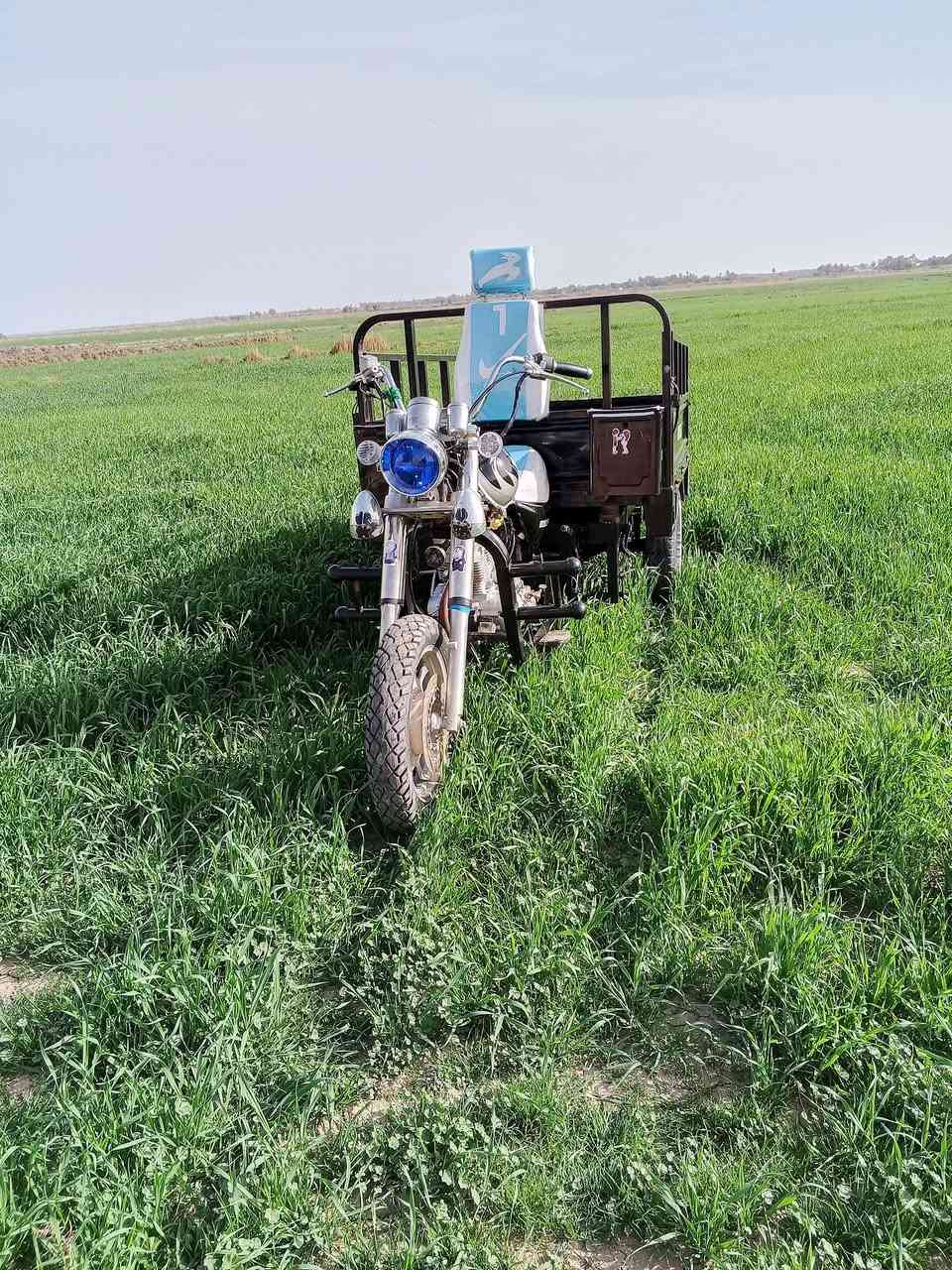 السلام عليكم ستوته البيع مديل 2022 رقم نكليزي مو بل فلوس اب تراب الفلوس  شوكت ماتريد داور الك  نتصل علا رقم *********** او بيك خير او تدلل
