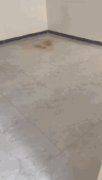 البيت للبيع او الرهن يم اسواق تلعفر يم السوق غرفة وصالة ومطبخ وحمام فقط 
سعر البيع 20مليون بي مجال 
سعر الرهن 9مليون 
الاتصال ***********
