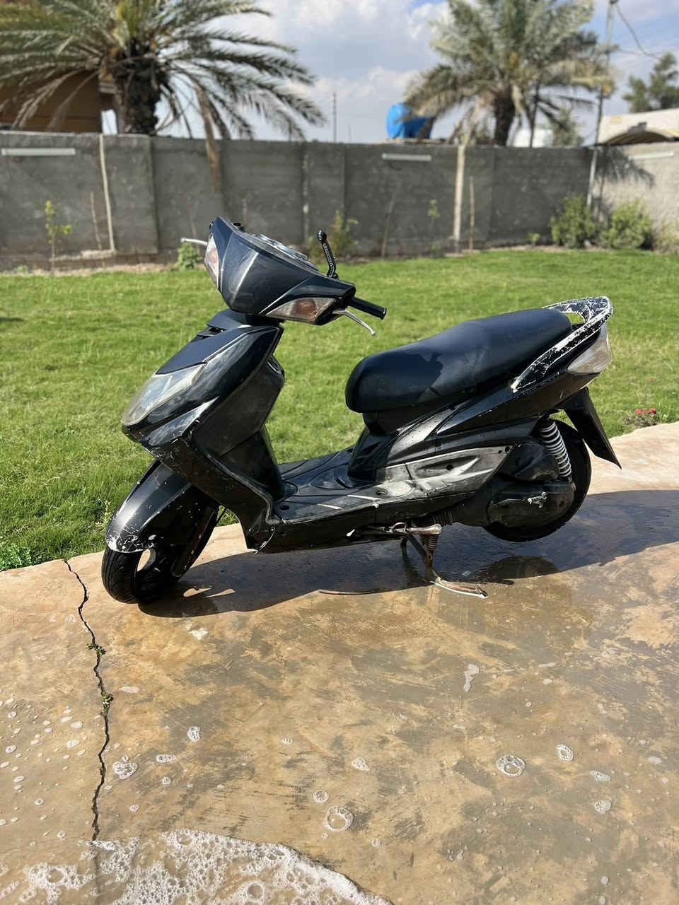 سلام عليكم سكنس فحل 600وبيه مجال. ***********
