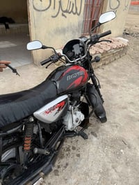 بوkسر 23 • مكفولة • البصرة القرنة