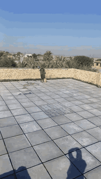 الناصرية • خدمات