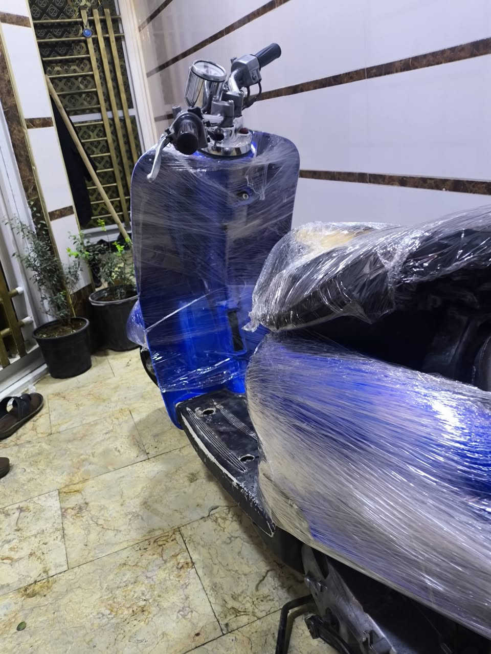 للبيع عبد الحليم شغاله 
سعر 150 
***********متواجد وتساب
