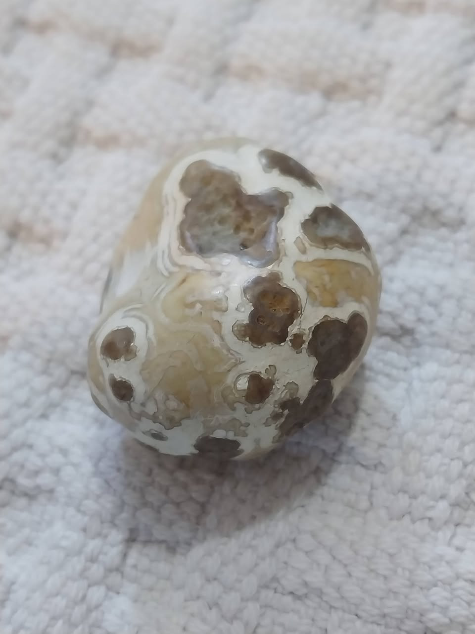 حجر داودي عطف السعر 50 الف عنوان بغداد كرادة 
***********
