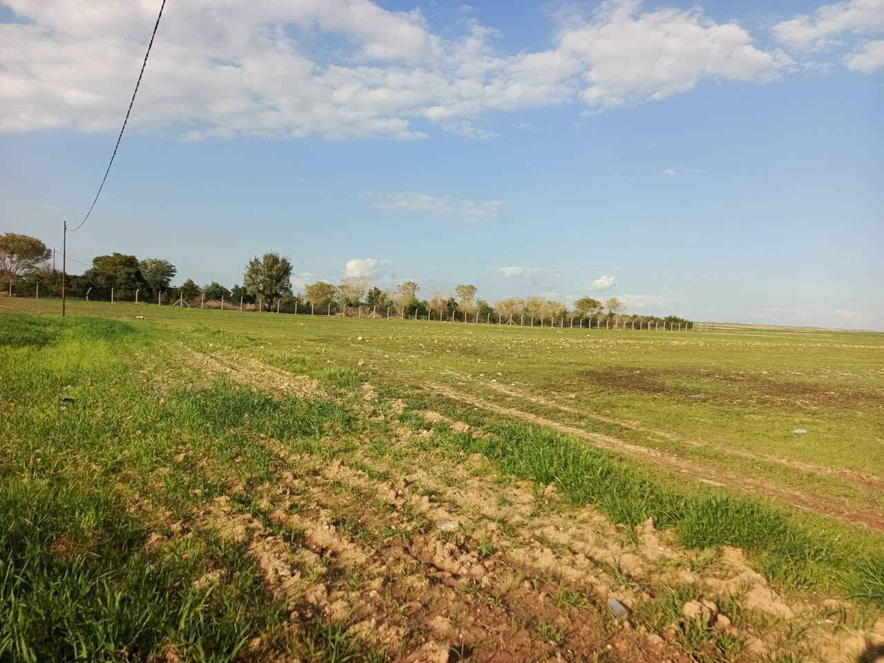 بِسْمِ‌ اللَّهِ ‌الرَّحْمَنِ ‌الرَّحِيمِ‌ 
سڵاوخۆشەویستان.پێنج.دۆنم.زەوی
بۆفرۆشتن..لەساڵح ئاغا..نزیک.جادەو
کارەبا.بیرکەندنیش ئاساییە.بۆی
تێبینی..
ئەگەرزیاترتان بوێ هەرلەتەنیشتی
لامان دەست دەکەوێت..نرخ..
 ***********📲📲📲📲📲
