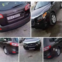 سنتافي • ٢٠١١ • وارد امريكي