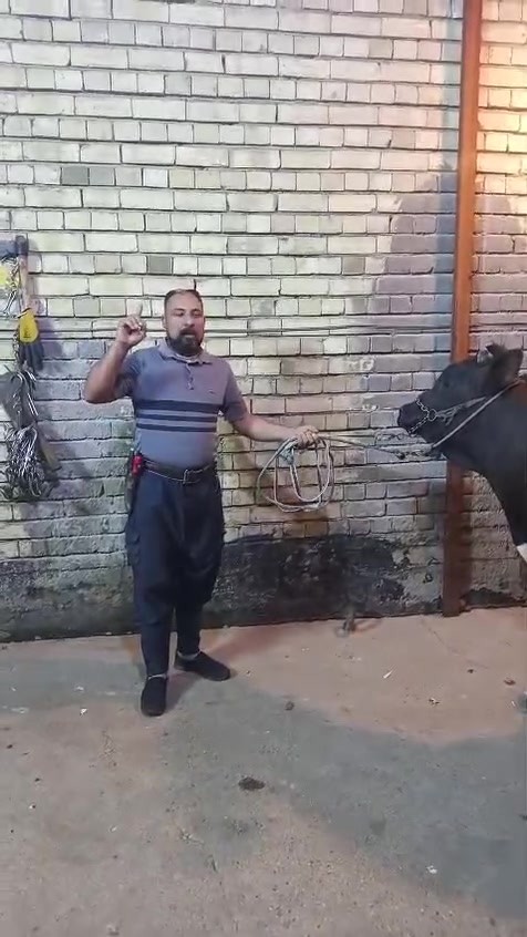 بسم الله الرحمن الرحيم يالله
ليوم الثنين ٢٢ يعلن مطعم الماجد و قصابه الماجد عن بيع الحم عجل عراقي 
عنوان المسيب حي المعلمين مجاور اسواق الباشا   
***********
